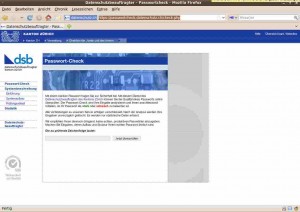 Bildschirmfoto-Datenschutzbeauftragter - Passwortcheck - Mozilla Firefox